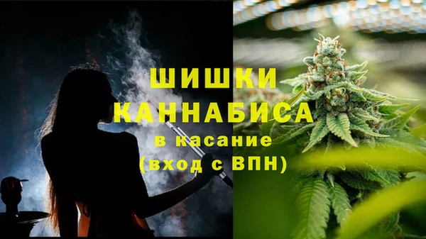 ПСИЛОЦИБИНОВЫЕ ГРИБЫ Пестово